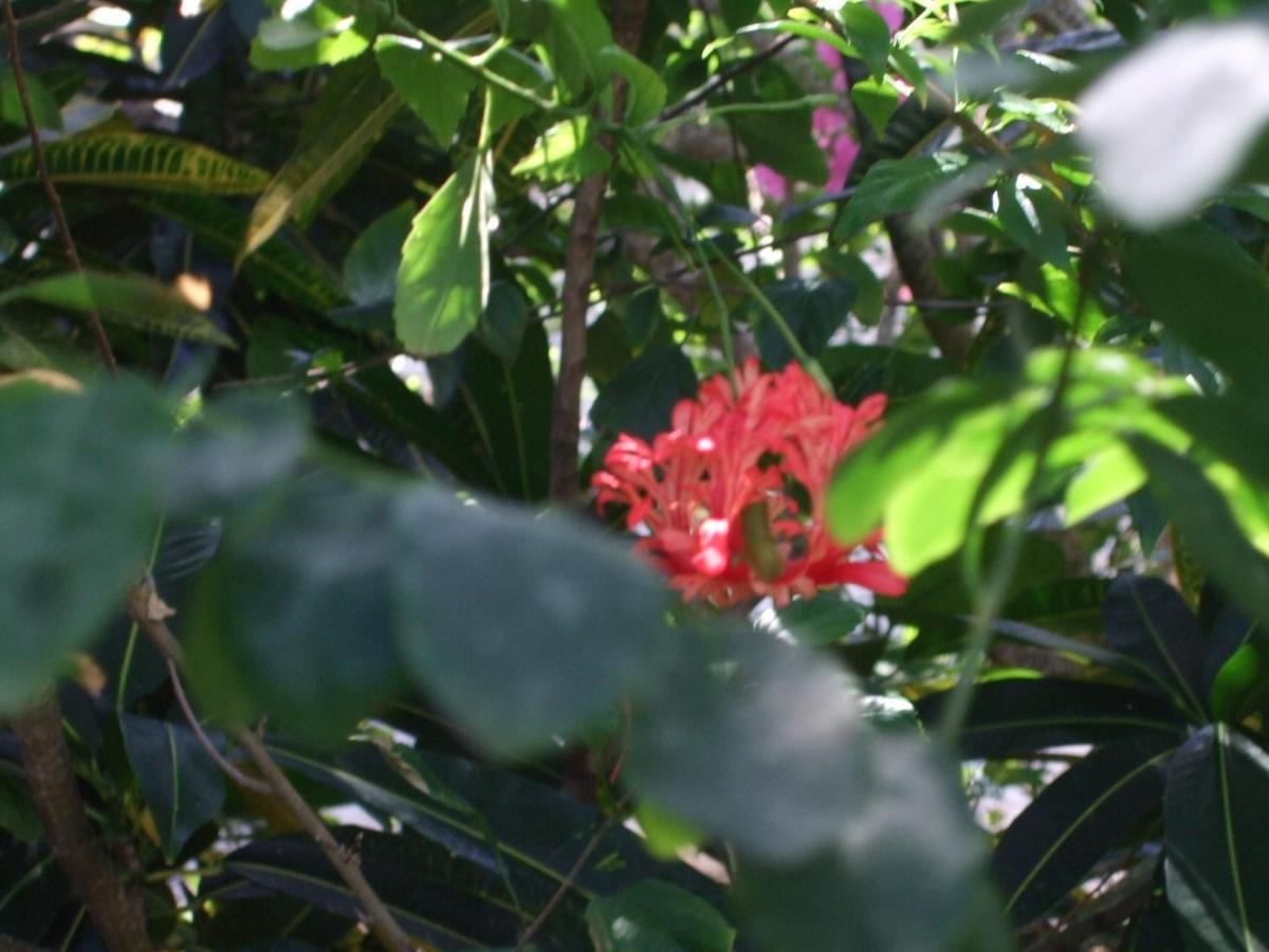 Chiky Villa 瓦塔穆 外观 照片