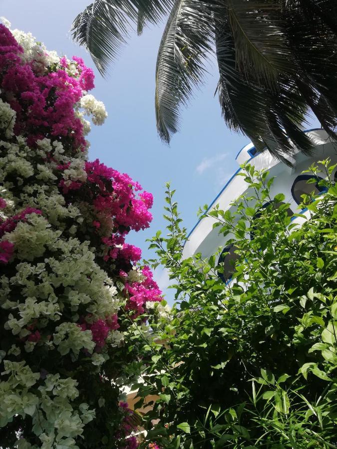Chiky Villa 瓦塔穆 外观 照片